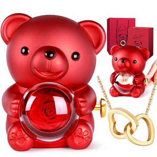 Orso rosa eterna con - di,